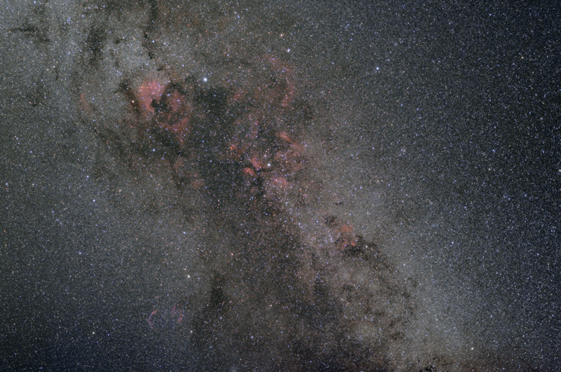 Cygnus