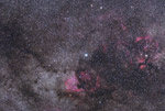 Cygnus