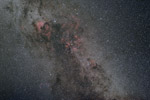 Cygnus