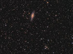 NGC7331