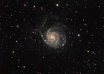 M101