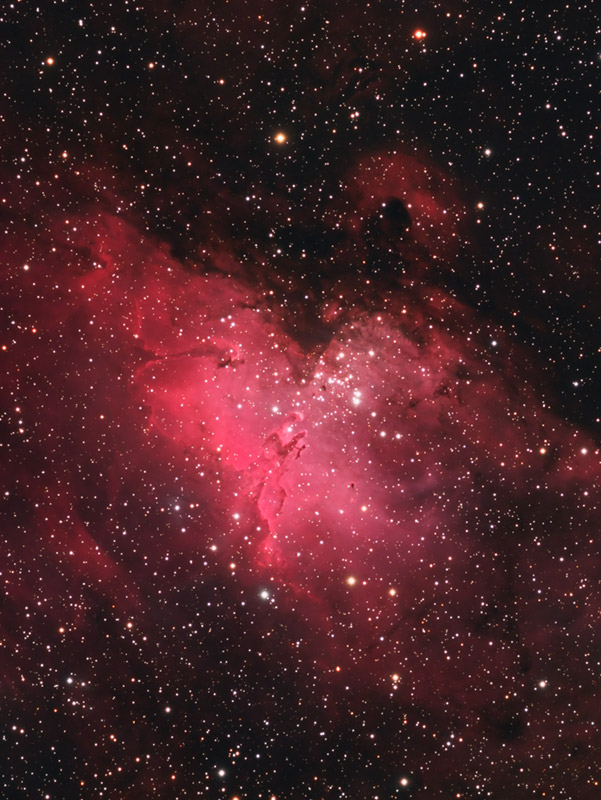 M16