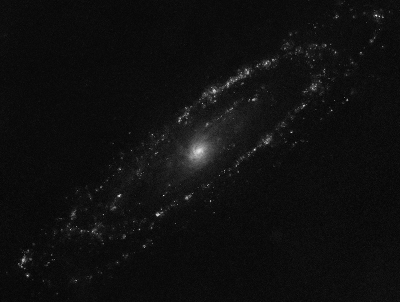M31Ha