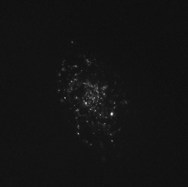M33 Ha