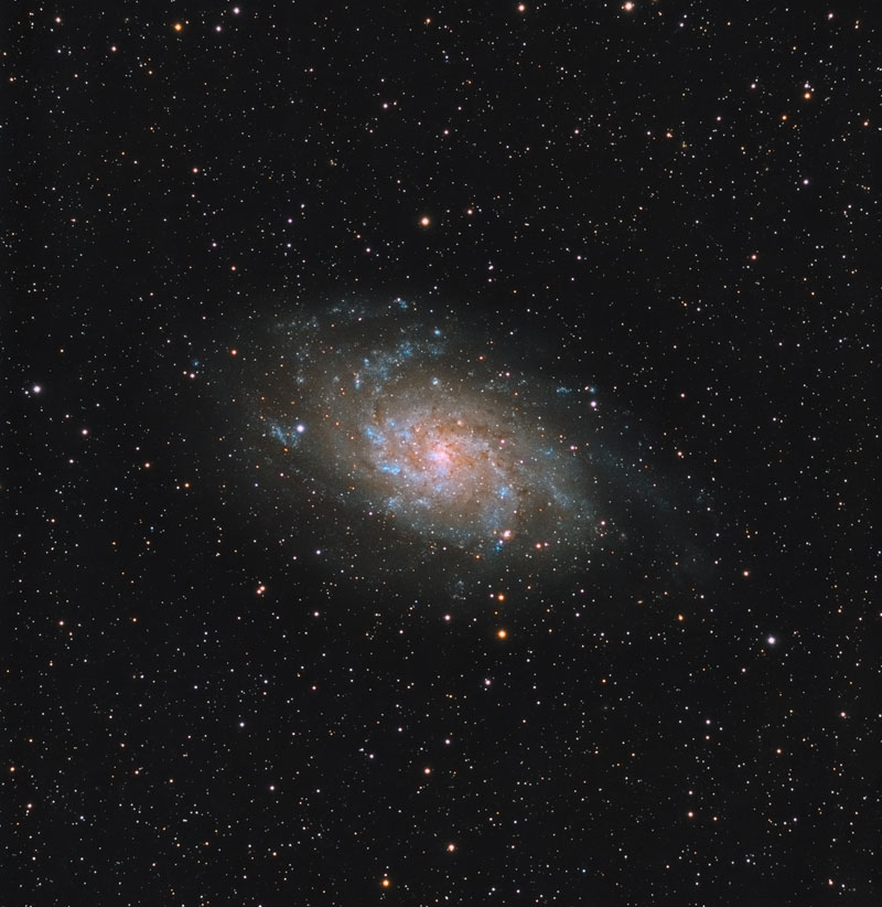 M33