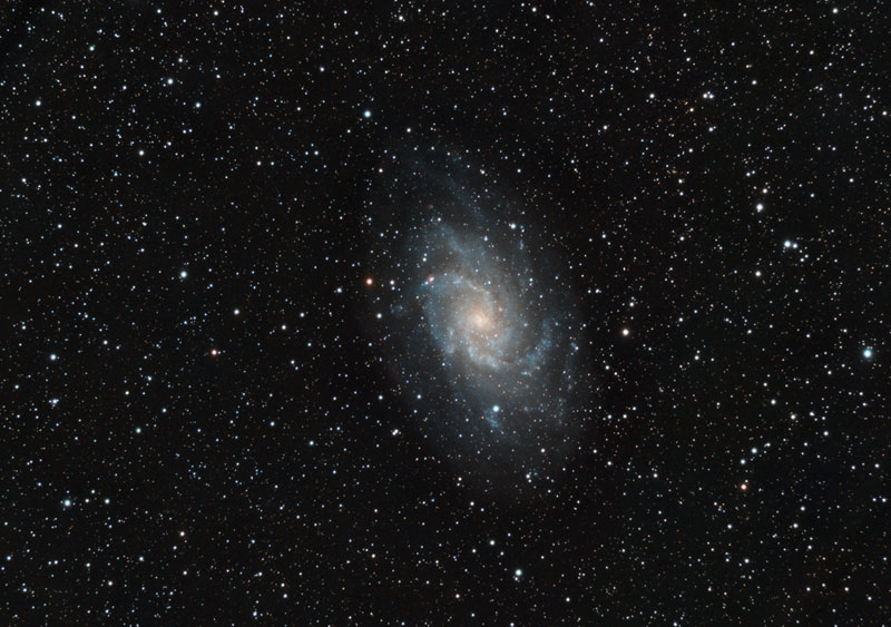 M33