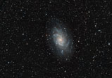 M33