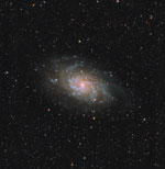 M33