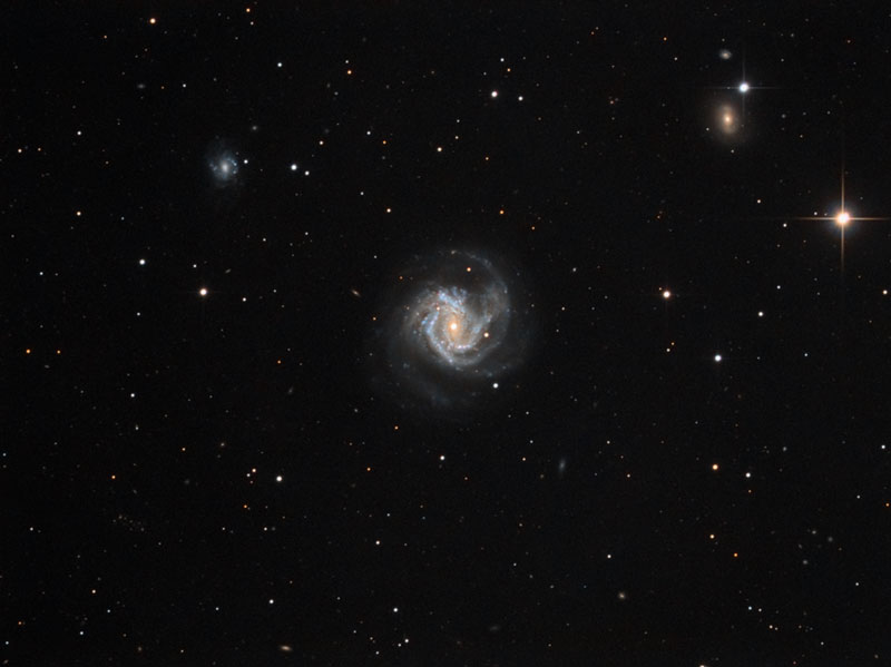 M61