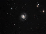 M61