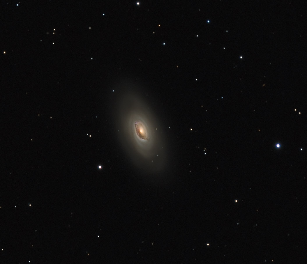 M64