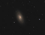 M64