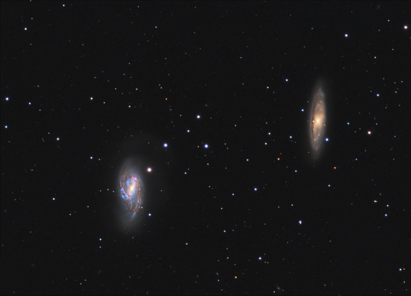 M65_M66