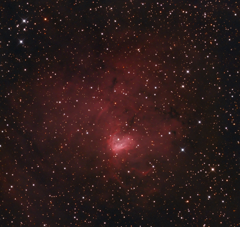 NGC 1491
