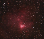 NGC1491