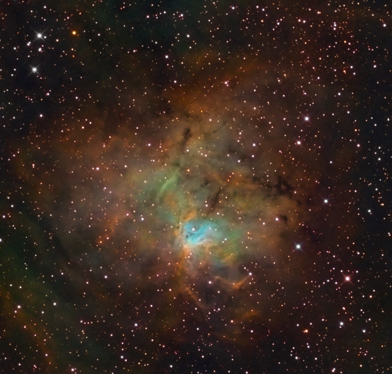 NGC1491