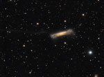 NGC3628
