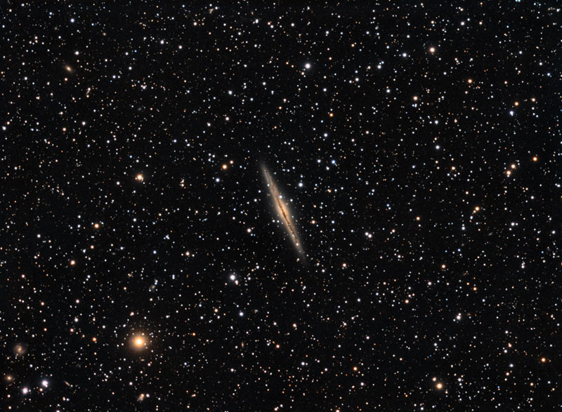 NGC891