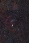 Orion