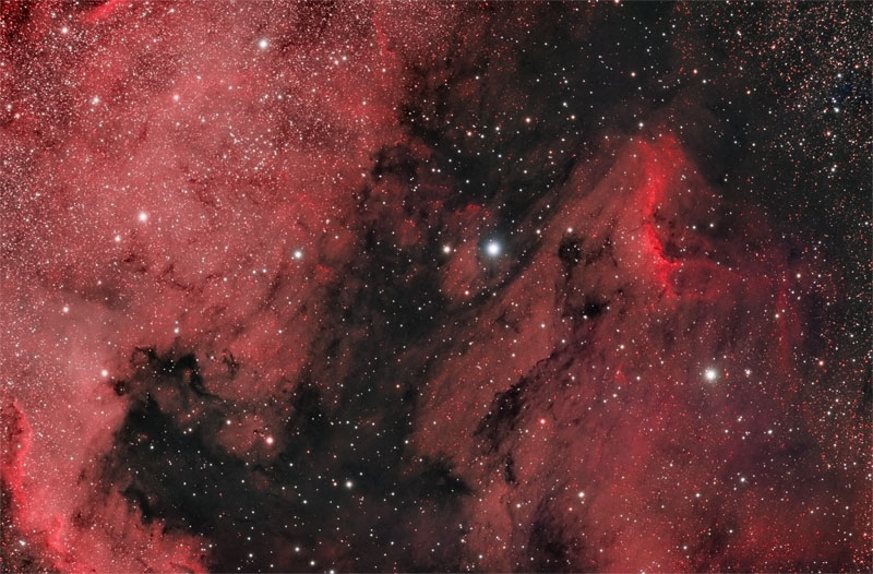 Pelican Nebula