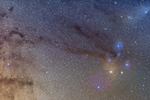 Scorpius
