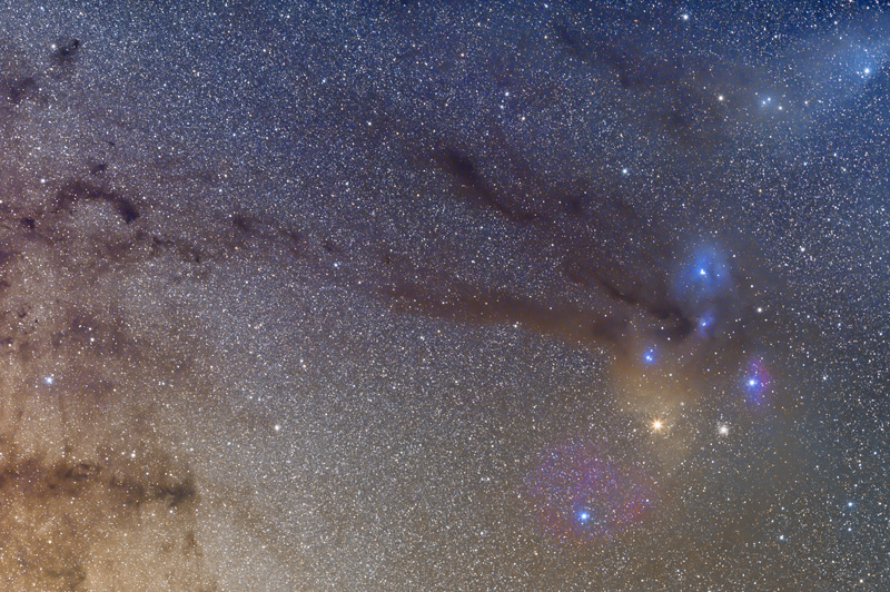 Scorpius