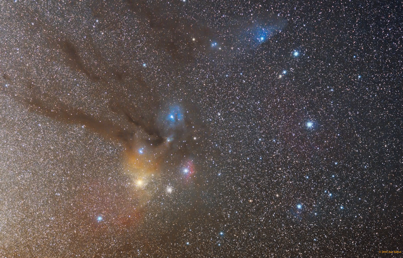 Scorpius