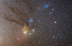 Scorpius