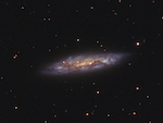 Stacks Image 46237
