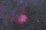 Stacks Image 1704