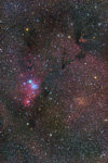Stacks Image 1900