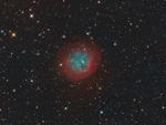 Stacks Image 1708